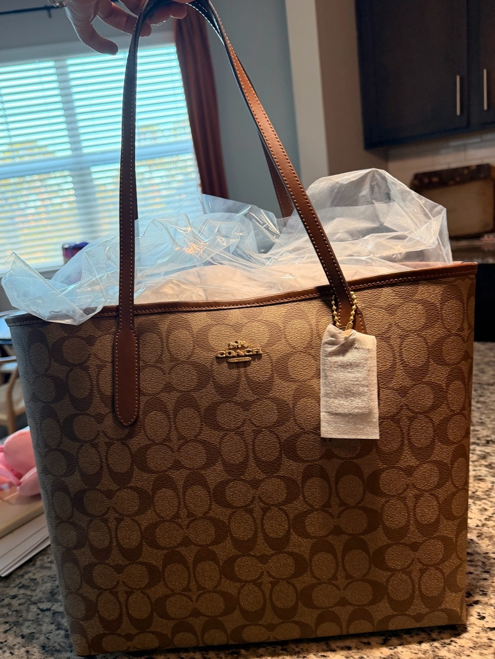 Coach City Tote in Brown with Leather Straps and Organizational Insert